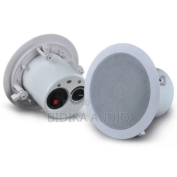 QQCHINAPA Spika ya Bluetooth ya Inchi 8 ya 20W ya Kwenye Dari - 1