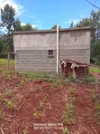Kitalu cha 50x100 Kinauzwa Kirinyaga - 4