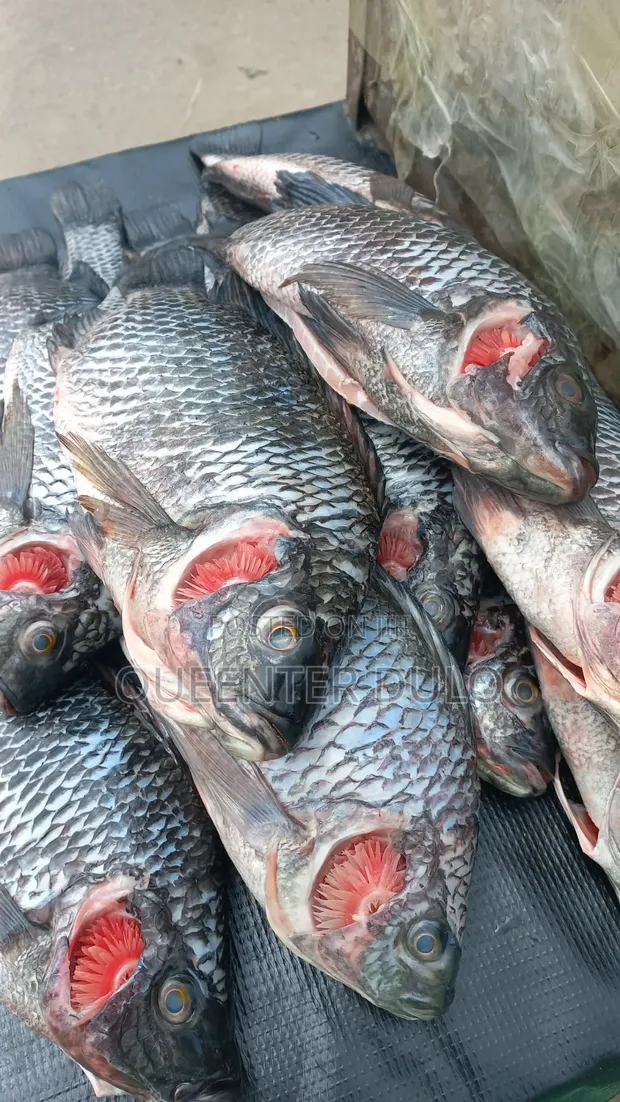 Samaki Safi wa Tilapia wa Kukaanga - 1