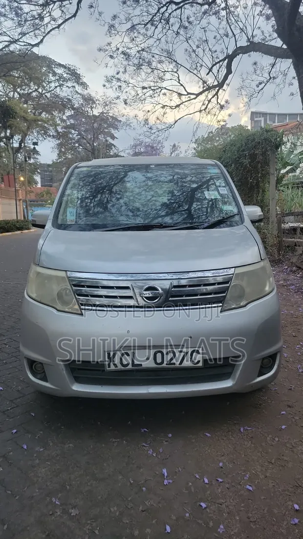 Nissan Serena 2010 Gray - 1