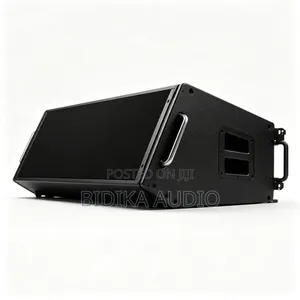 Professional Line Array Speaker Stage PA System