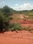 2 Acres Baolala Land Near Weru Technical College - 2