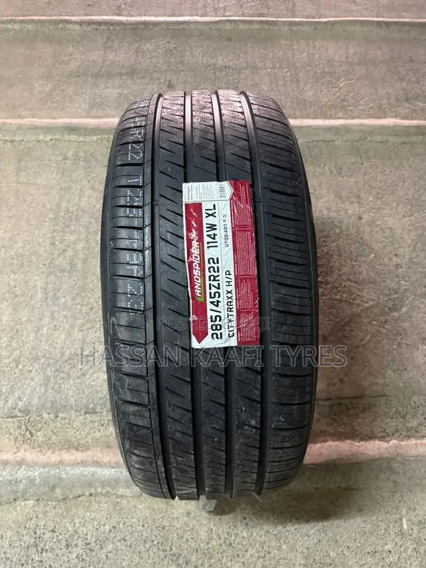 285/45R22 Landspider Tire - 1