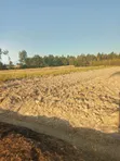 Eka 1.6 za Ardhi Nzuri ya Kilimo Zinauzwa Magumu Kinangop - 1