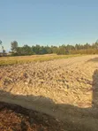 Eka 1.6 za Ardhi Nzuri ya Kilimo Zinauzwa Magumu Kinangop - 2