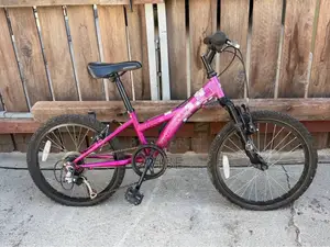 Diamondback Tess 20 Junior Mountain Bike