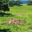 Ekari 3 za Ardhi kwa Uuzaji Bofa, Kilifi na Hati Safi - 2