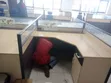 Office Relocation Services - Westlands/Upperhill - 4