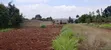 Plots for Sale in Kiroe, 5 Mins from Chungamali - 2
