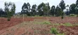 Plots for Sale in Kiroe, 5 Mins from Chungamali - 3