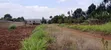 Plots for Sale in Kiroe, 5 Mins from Chungamali - 4