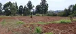 Plots for Sale in Kiroe, 5 Mins from Chungamali - 5