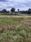 8.5 Acres Prime Land for Sale in Kerarapon - 3
