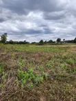 8.5 Acres Prime Land for Sale in Kerarapon - 4