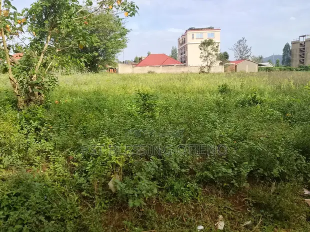 Commercial Land for Sale - Suna Central (50x100 & 100x100 Plots) - 1