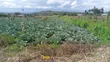 4.5 Acres Lamuria Laikipia Riverfront Land - 2
