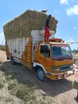 Mitsubishi Fighter Mini Truck - 4