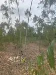 Prime 1 Acre Land for Sale in Kandisi, Ongata Rongai - 3
