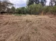 Kitalu Kinauzwa Bei Nafuu, Toll, Kimbo - 4