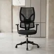 Executive High Back Orthopedic Boss Chair - 4
