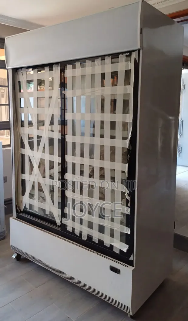 GE Double Sliding Door Display Fridge - 1