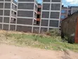 40x80 Plot for Sale in Witeithie, 1km to Thika Superhighway - 1