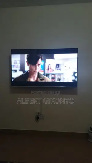 Professional TV Mounting & Trunking Service