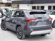 Toyota RAV4 2019 Gray - 4