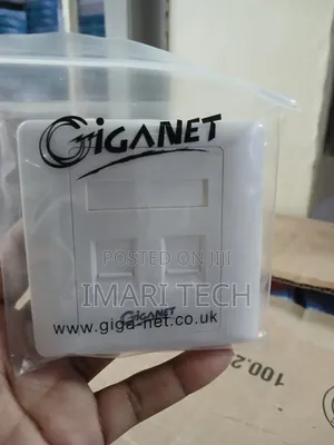 Giganet Dual Faceplate with Cat6e Modules
