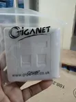 Giganet Dual Faceplate with Cat6e Modules - 1