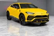 Lamborghini Urus Base 2020 Njano - 2