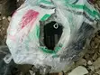Toyota Prado/Land Cruiser 100/200, Lexus LX570/LX600 Brake Booster, ABS Pump, Master Cylinder - 2