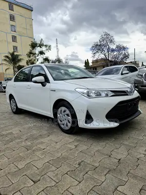 Toyota Axio 2019 Hybrid