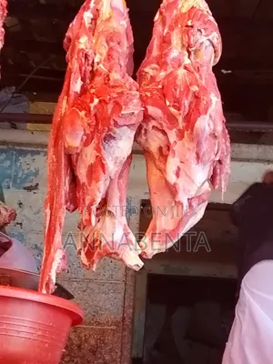Quality Beef for Sale