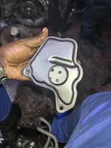 Nissan X-Trail NT32 Kichujio cha Mafuta ya Gearbox (Ex-Japan) - 3