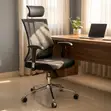 Kiti cha Ofisi cha Ergonomic chenye Mkeka Mrefu - 2