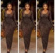 Ladies Leopard Print Maxi Dress - Long Sleeve Bodycon - 1