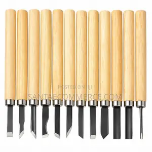 12 Pcs OOS Wood Sculpting Tools Set