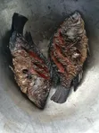 Samaki wa Ziwa Victoria: Tilapia na Nile Perch (Mbuta) - 2
