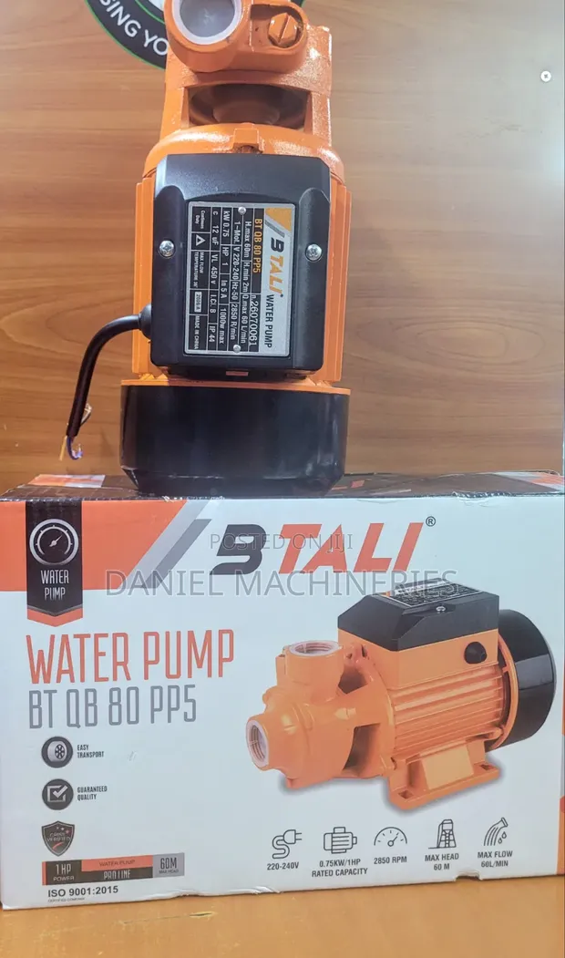 Premier QB80 1HP Peripheral Booster Pump - 1