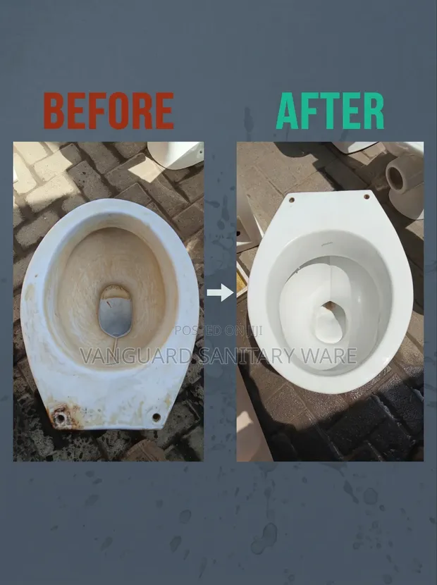 Professional Toilet Restoration & Hard Water Stain Removal - 1