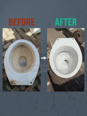 Professional Toilet Restoration & Hard Water Stain Removal