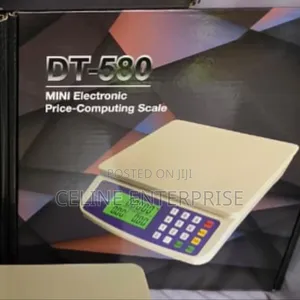 DT580 30KG Digital Electronic Weighing Scale