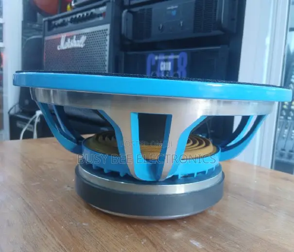 Derwel 12DE600 Professional Naked Speaker - 1