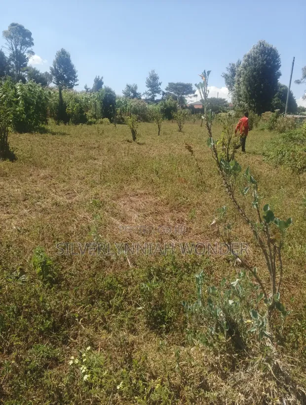 Vipande 3 vya Ardhi Vinauzwa Ngecha, Limuru - 1