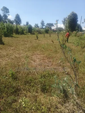 Vipande 3 vya Ardhi Vinauzwa Ngecha, Limuru