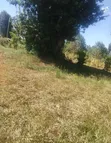 Vipande 3 vya Ardhi Vinauzwa Ngecha, Limuru - 2
