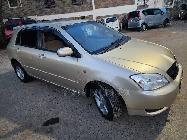 Toyota Allex 2003 Beige - 1