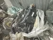 Injini ya Dizeli ya Volkswagen Touareg 3.0L V6 BKS (2006-2008) - 1