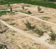 1/8 Acre Plots for Sale in Tezo, Kilifi - 1km to Ocean - 4